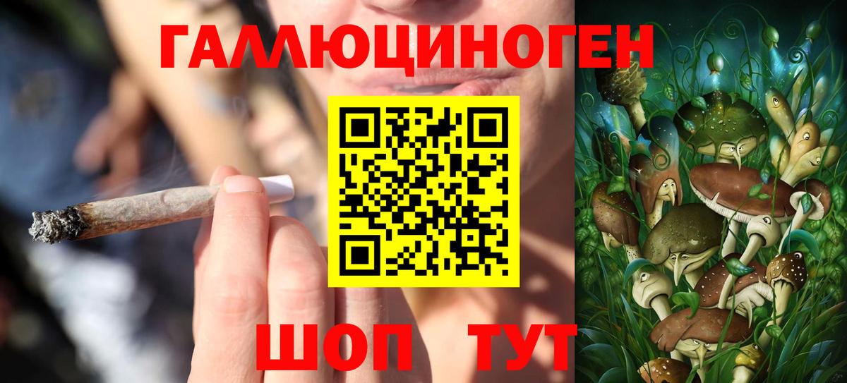 Псилоцибиновые грибы Magic Shrooms Грозный
