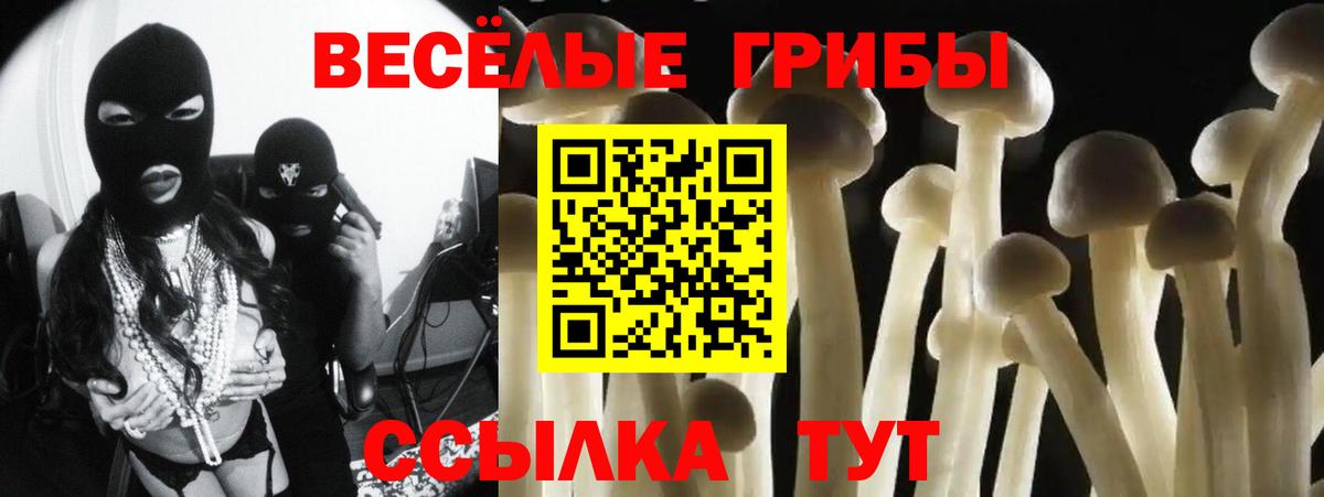 Грозный  Псилоцибиновые грибы ЛСД  Вход с VPN  Псилоцибиновые грибы прущие грибы 