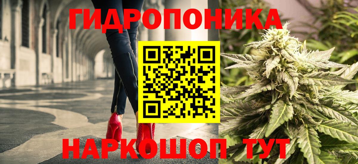 Грозный  Марихуана планчик  Вход с VPN  Конопля гибрид 